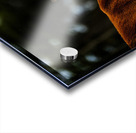 Mother Nature I Acrylic print