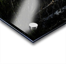 Great Prince of the Forest III Acrylic print