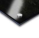 Un soir de septembre Acrylic print