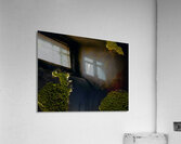 Les belles eaux noires Acrylic Print