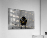 Pimbina Acrylic Print