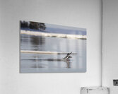 Surf mode Acrylic Print