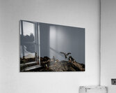 Bounce Acrylic Print