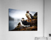 Just a little relaxation Acrylic Print