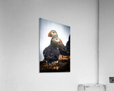 Chilling Puffin III Acrylic Print