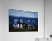 Southern Tundra Bull Acrylic Print