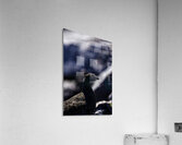 Hard as Rock III Acrylic Print