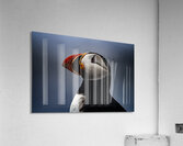 My best shot ever  Acrylic Print