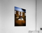 Beak Full Acrylic Print