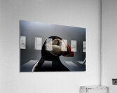 Sea Parrot Acrylic Print