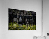 Great Prince of the Forest II Acrylic Print