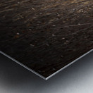 Renard dEeyou Istchee Metal print