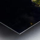 Les belles eaux noires Metal print