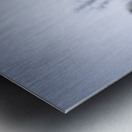 Cole la Legende Metal print