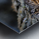 Day older Metal print