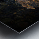 La grosse prise Metal print