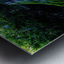 Les tropiques en Gaspesie Metal print