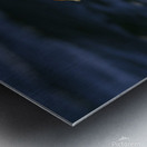 Somateria Metal print