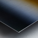 Pretty Plover III Metal print