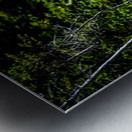 Bullwinkle I Metal print