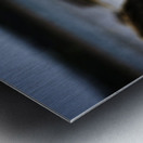 Mighty Mink IV Metal print