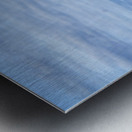 Southern Tundra Bull III Metal print