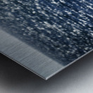 Southern Tundra Bull II Metal print