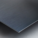 Sea Parrot III Metal print