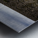 No Santa in Sight Metal print