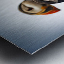 Chilling Puffin III Metal print