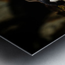 Curious Dude Metal print