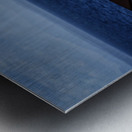 Southern Tundra Bull Metal print