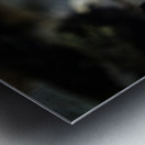 Kissing or Fighting is the question Metal print