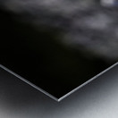 Baritone Bird II Metal print