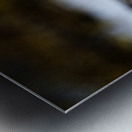 Pretty Plover II Metal print