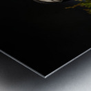 Almost Camo Metal print