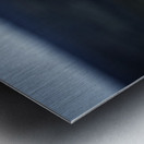 Beyond - a Valley II Metal print