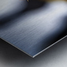 Beak Full II Metal print