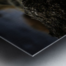 Mighty Mink II Metal print