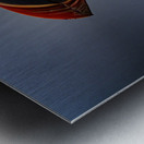 My best shot ever  Metal print