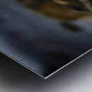 Mighty Mink I Metal print