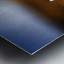 Beak Full Metal print