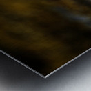 Pretty Plover I Metal print