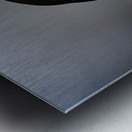 Sea Parrot Metal print