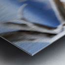 Fire Fox I Metal print