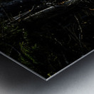 Great Prince of the Forest II Metal print