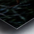 Great Prince of the Forest I Metal print