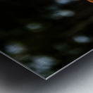 Mother Nature I Metal print