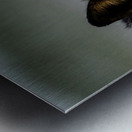 Fire Fox II Metal print