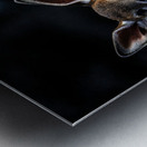 Eye for an eye III Metal print